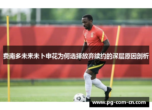 费南多未来未卜申花为何选择放弃续约的深层原因剖析 费南多未来未卜申花为何选择放弃续约的深层原因剖析